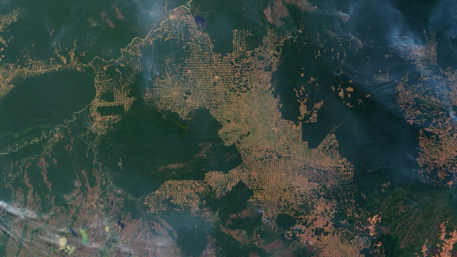 Satellite photograph of northwest Rondônia in the Brazilian Amazon: intact dark-green forest broken by the fishbone pattern of deforestation, where clearings advance in ranks along roads cut at right angles to a main highway, with smoke from fires drifting across the scene